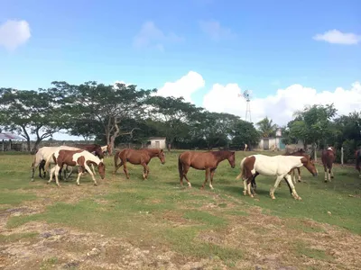 Rancho en venta