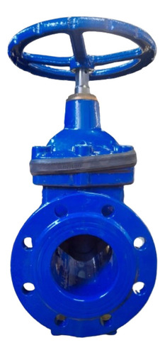 Válvula Registro Gaveta C/flanges Ferro 100mm Pam Saint-gobain R23fvgtw