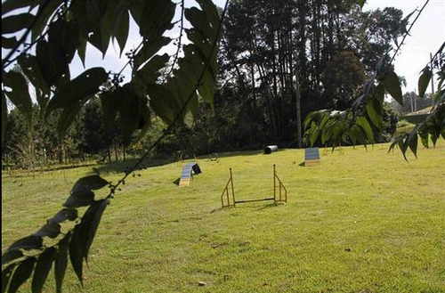 Imagem 6 de 9 de Terreno Socorro Mogi Das Cruzes Sp Brasil - 554