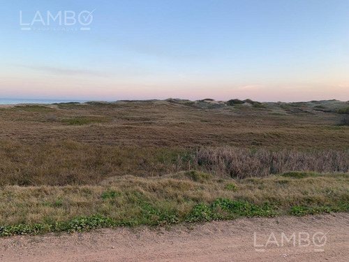 Imagen 5 de 11 de Venta-terreno-uruguay-punta Del Este-ocean Park