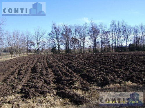 Imagen 6 de 10 de Terreno - Villa Rosa