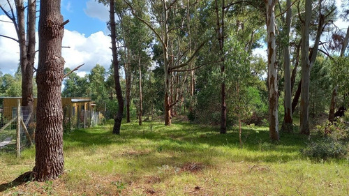 Imagen 14 de 17 de Lote En Venta En La Barra (ref: Atm-6651)