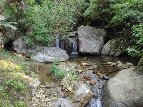 Imagem 1 de 14 de Sitio Medindo 12 Alqueires Com Cachoeira Particular