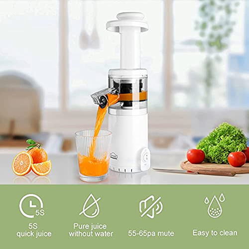Dewinner Mini Extractor De Exprimidor De Masticación Lenta F