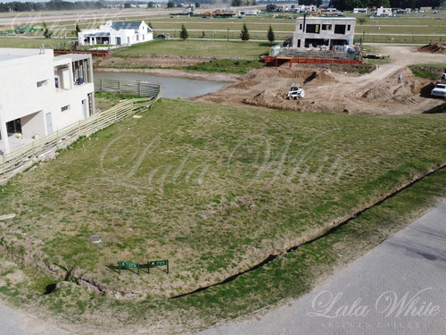 Imagen 3 de 13 de Lote En Los Talas