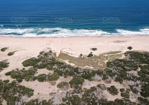 Venta De Terreno Grande En Arenas De José Ignacio 