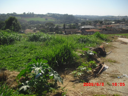 Imagem 3 de 6 de Terreno Residencial Europa 340,00 M2