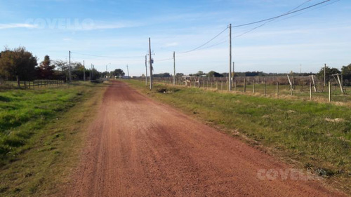 Venta Terreno, Una Hectarea Y Media. Colonia Estrella