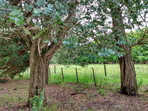 Areco - Lote Quintas -excelente 20 X 53 - U$s 93000