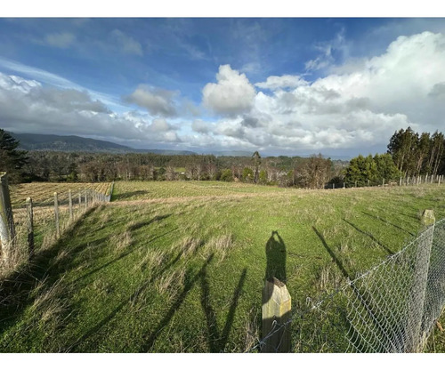 Terreno De 5000 M2 En Cañete, Tranquilidad Y Proyección