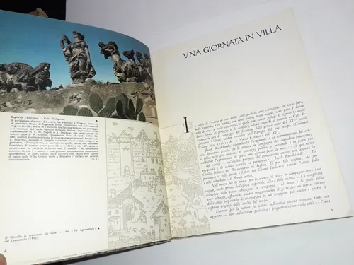 Libro Dei Giorni Italiani / Passeggiata In Villa - Caporaso (Usado)