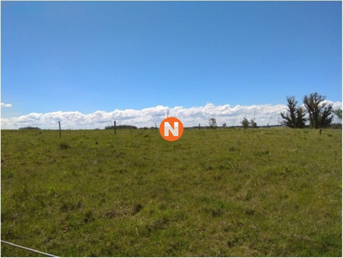 Espectacular Chacara A La Venta!- Ref: 213286