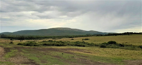Chacras En Ruta Interbalnearia