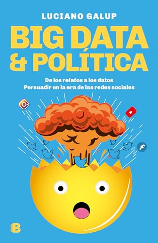 Libro Big Data & Politica De Galup Luciano Grupo Prh