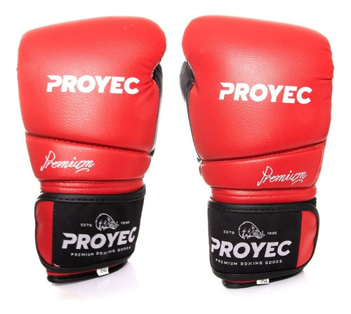 Guantes Boxeo Premium Proyec Para Kick Boxing Muay Thai