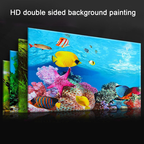 Fondo De Acuario De Doble Cara 50x82cm Tipo A - 50x82cm