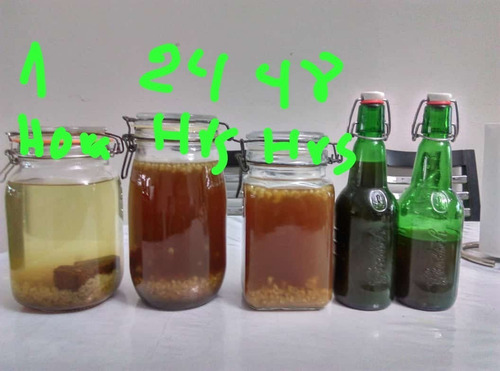 Imagen 3 de 5 de Tibicos De Agua (100gr +100gr Panela)
