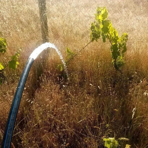Parcela Con Agua Y Luz A 130 Kms De Santiago