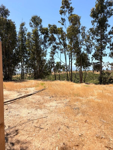 Venta De Terreno Plano Y Extenso En Venta Belloto Norte