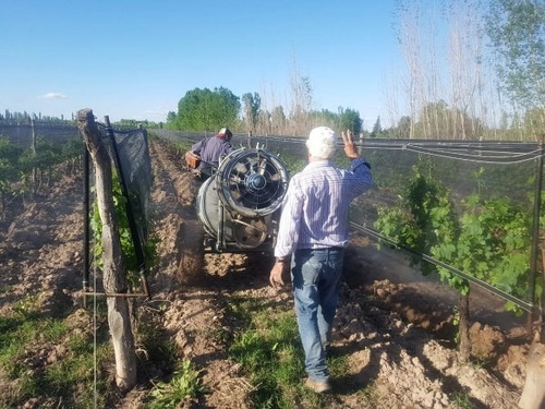 Hermosa Finca En Producción En Cuadro Benegas