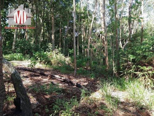 Chácara Com Excelente Terreno, Pomar, Riacho, Pertinho Da Cidade Com 02 Dormitórios À Venda, 12000 M² Por R$ 240.000 - Pedra Bela - Pedra Bela/sp - Ch0666