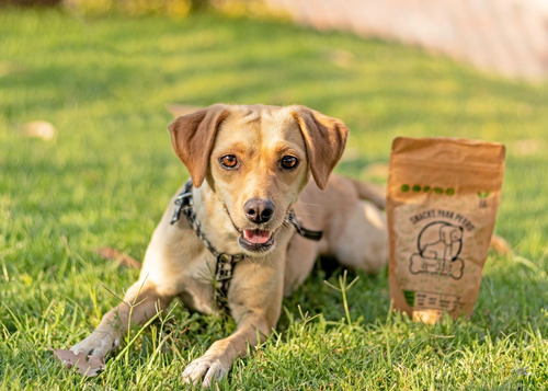 Premios Para Perro Hipoalergénicos, Naturales, Con Proteína.