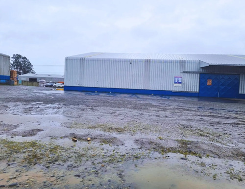 Bodega Con Oficina, Bodegas Binder - Llanquihue