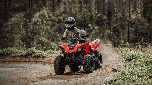 Imagen 14 de 15 de Canam Ds 90 Cuatri 0km No Yamaha Honda Motomel Usd