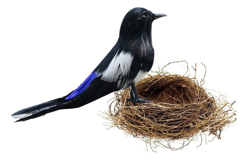 Taxidermia Realista Urraca