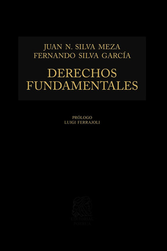 DERECHOS FUNDAMENTALES: No, de Silva Meza, Juan Nepomuceno., vol. 1. Editorial Porrua, tapa pasta dura, edición 3 en español, 2019