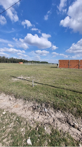 Terreno En Venta En Domselaar. Oportunidad