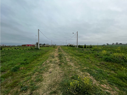 Vendo Lote De 1 Hectárea En San Justo, Entre Ríos.