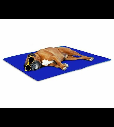 Manta Gel Refrigerante P/ Perro Grande Cool Mat 90x50 Verde Claro