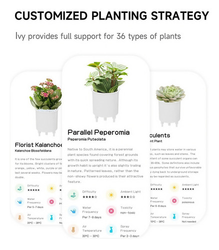 Robot Inteligente For El Cuidado De Plantas Guiado Por Emoji
