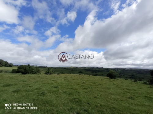 Imagen 13 de 25 de Venta De Campo, Maldonado.campo De 41 Hectáreas, Próximo A Pueblo Edén - Pueblo Eden