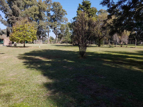 Imagen 6 de 13 de Venta Lote Terreno 3600m2