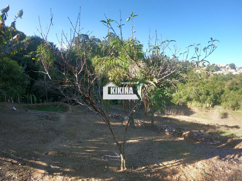 Imagem 24 de 30 de Chácara Para Venda - 02950.9321