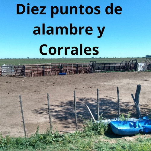 Campo Mixto, 300 Ha, A 7 Km De La Localidad De Parera En La Pampa. U$s 2.500/ha