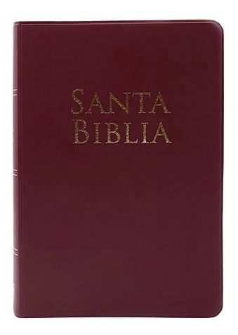 Biblia Holman Vinil Vino Rv1960