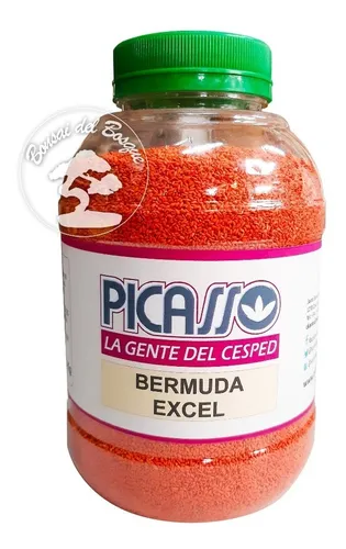 comprar Semilla Cesped Picasso  Excel Bermuda  Premium X 1 Kg