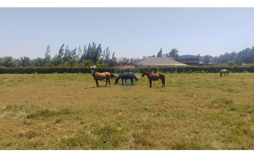 Venta De Parcela De 5000 En Melipilla