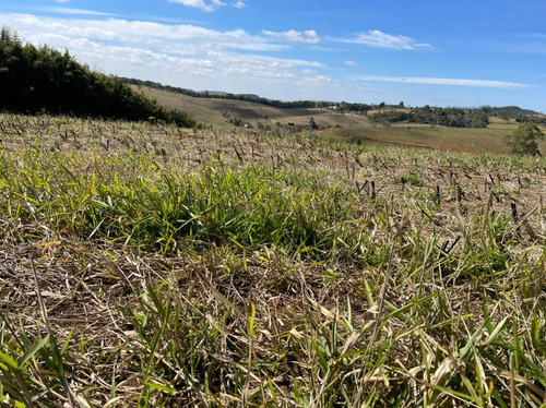 Imagem 4 de 14 de C22- Terreno Com Escritura Em Igaratá