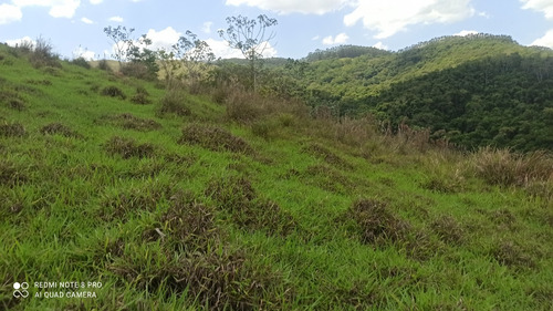 G15 - Vendo Terreno Sem Burocracia