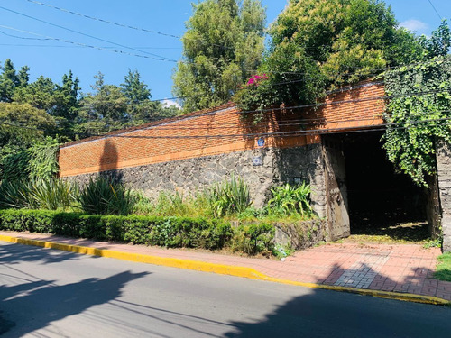 La Magdalena, Terreno Comercial En Renta