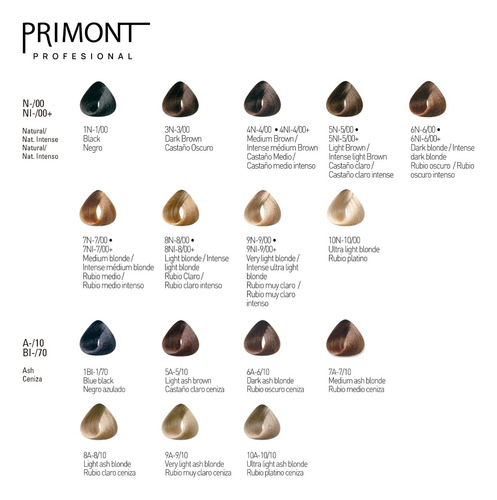Primont Color X 10 Tinturas 60gr + Oxidante 900ml Coloración
