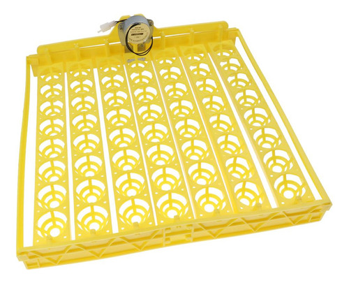 Incubadora Automática De Huevos 56 Huevos Turner Bandeja