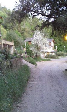 Imagen 2 de 20 de Ph - San Martin De Los Andes