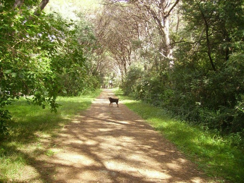 Hermosa Cabaña Nueva