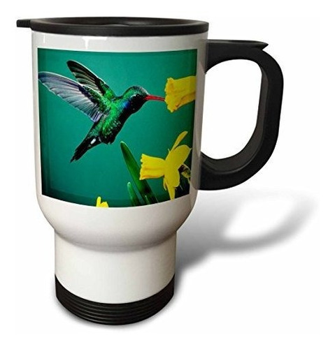 Vaso - 3drose Taza De Viaje  Colibrí Disfrutando De Un Narci