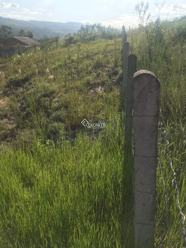 Imagem 7 de 8 de Terreno - Vila Sao Jorge - Ref: 1633 - V-1633